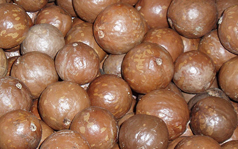 Biljno ulje makadamije